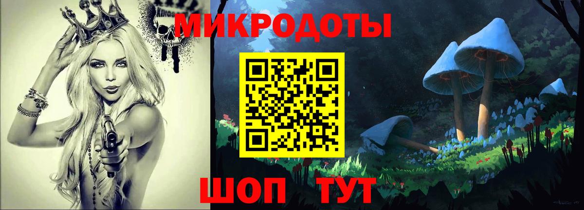 Псилоцибиновые грибы мухоморы Воркута