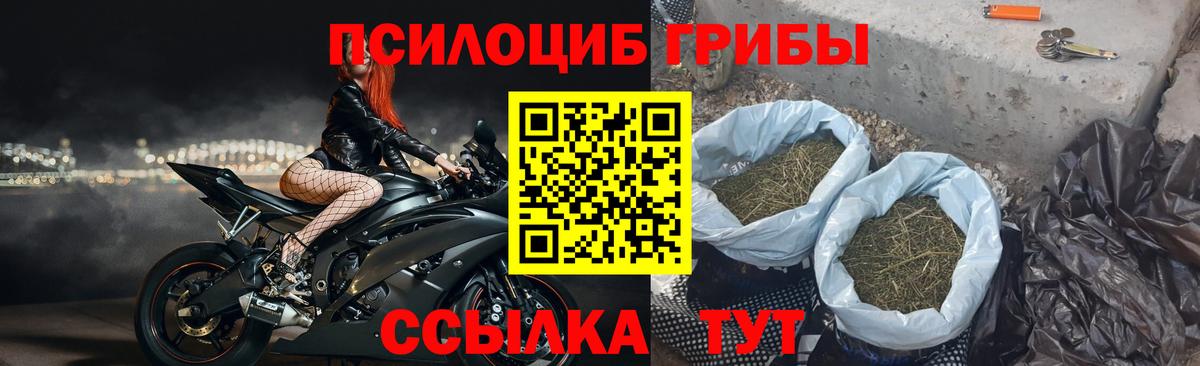 Воркута  Галлюциногенные грибы мухоморы  Вход с VPN 